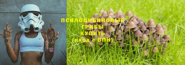 трава Верея